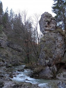 Vrbica