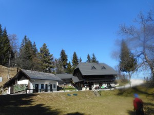 Kopitnikkoca
