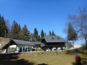 Kopitnikkoca