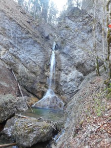 Pekel1