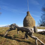Planinski izlet na Kojco 2.4.2025 – veterani