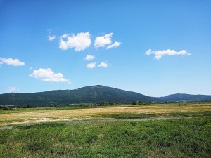 Cerknica2
