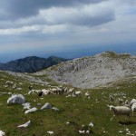 Planinski izlet na Kalški greben 22.6.2025
